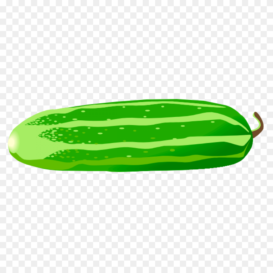 Cucumber | Free PNG WebP - Cucumber