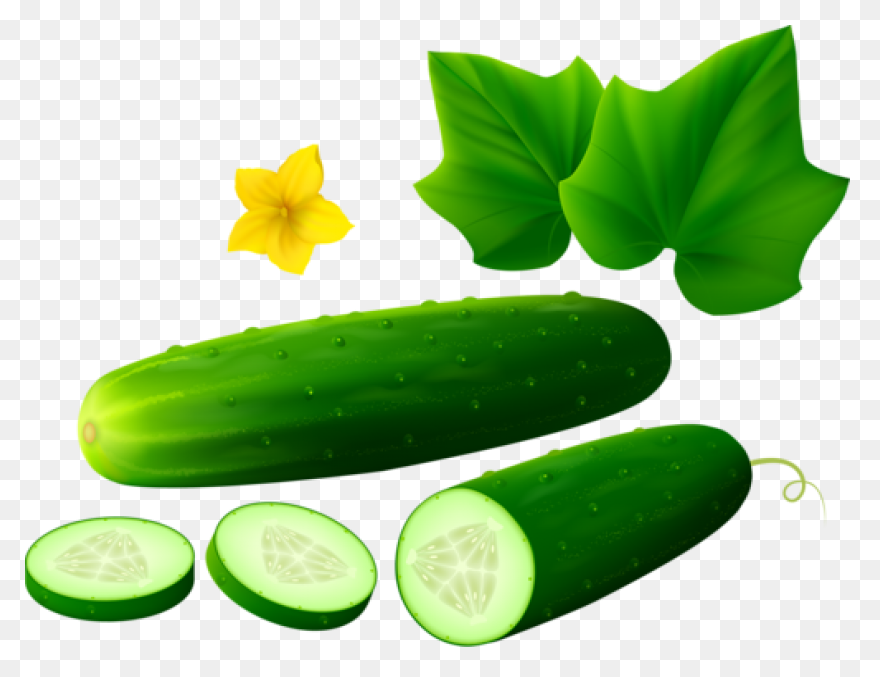 Cucumber Clipart. Free Download Tra
