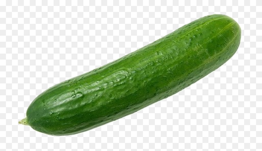 Cucumber Clipart. Free Download Tra