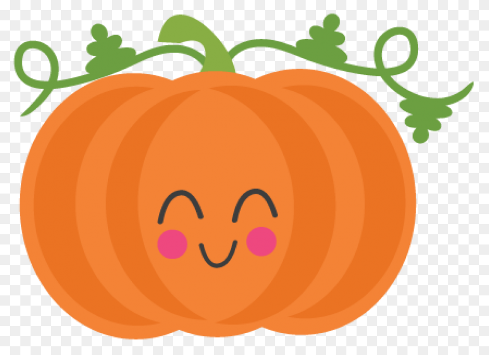 Gallery - Recent Updates | Pumpkin 
