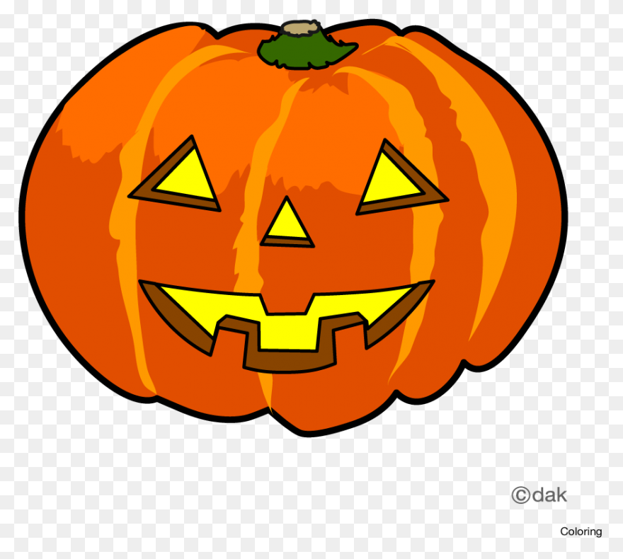 Gallery - Recent Updates | Pumpkin 