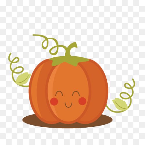 Gallery - Recent Updates | Pumpkin 