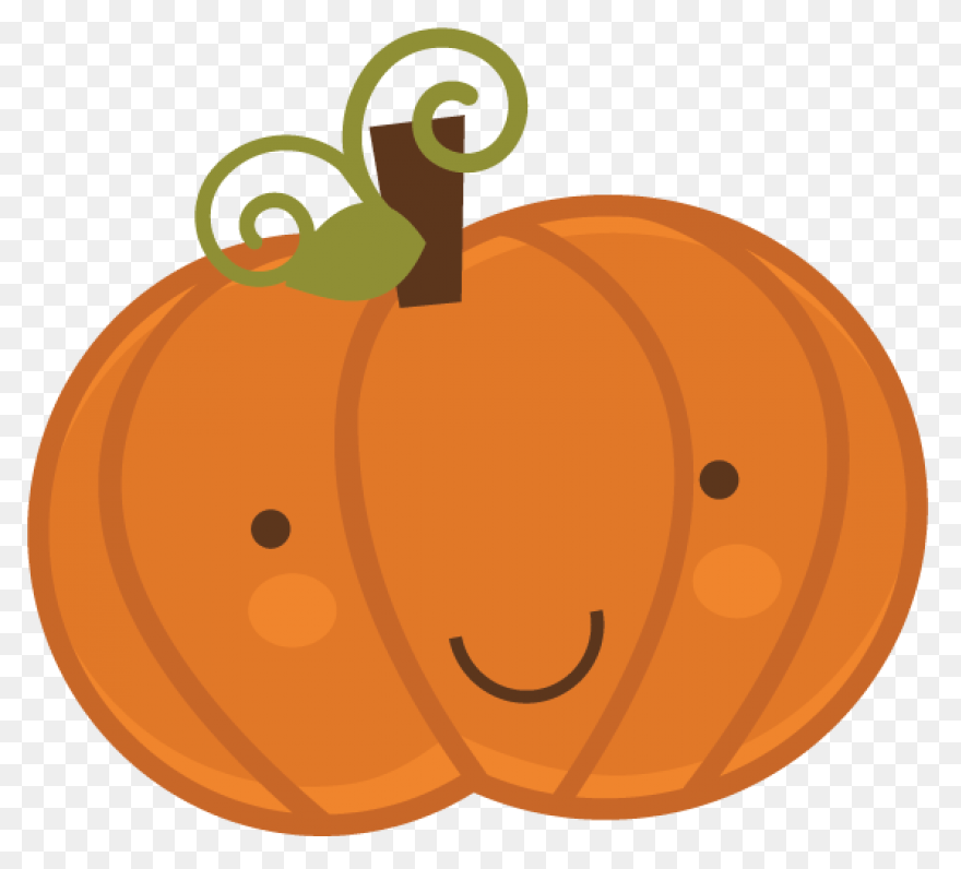 Gallery - Recent Updates | Pumpkin 
