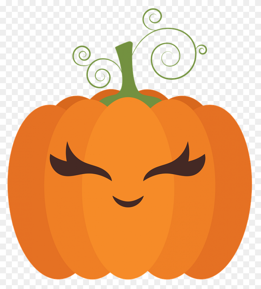 Gallery - Recent Updates | Pumpkin 