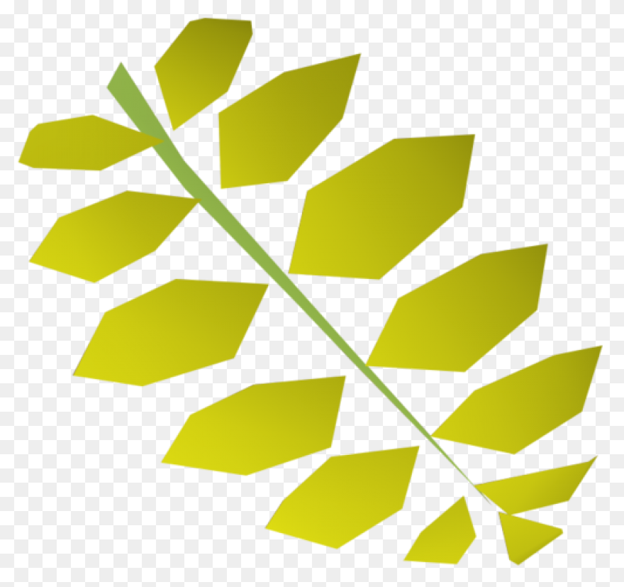 13 Leaves Ideas | Leaves, Plant Lea