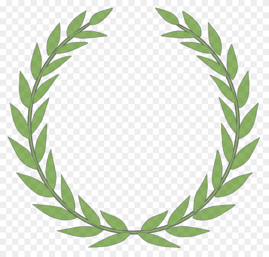 13 Leaves Ideas | Leaves, Plant Lea