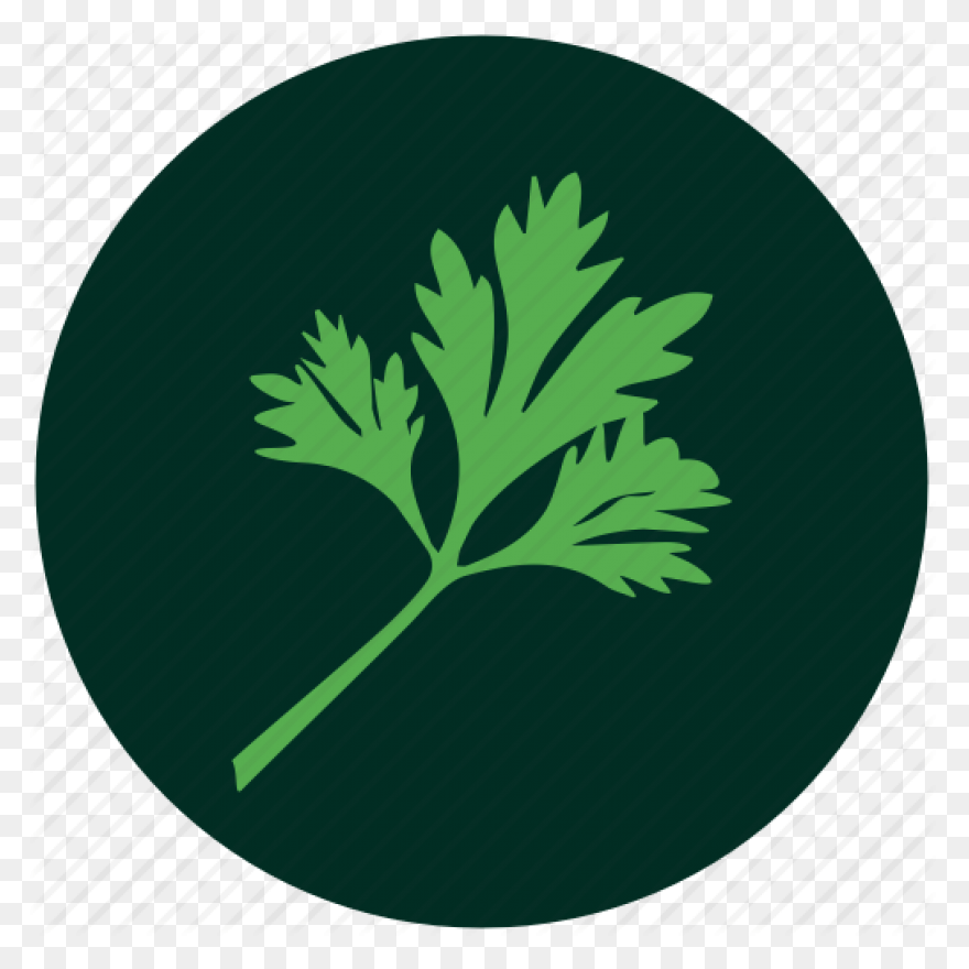 13 Leaves Ideas | Leaves, Plant Lea