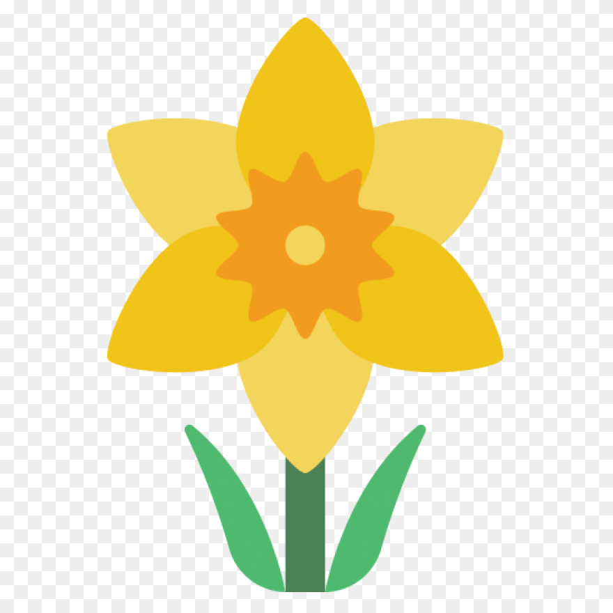 Daffodil Flower Plant Flora Clipart