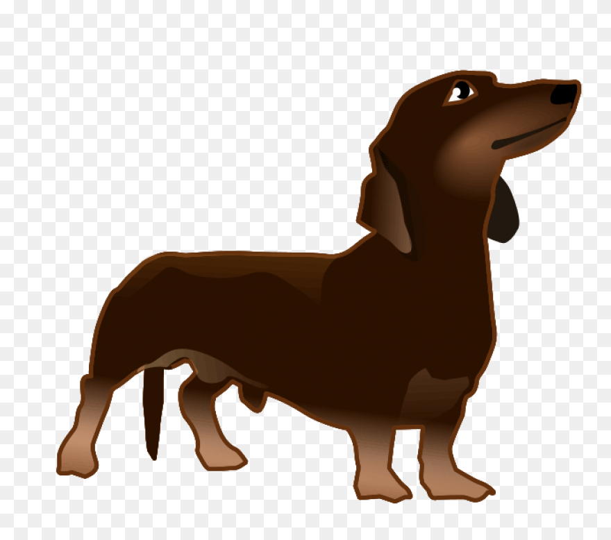 Dachshund Clipart. Free Download Tr