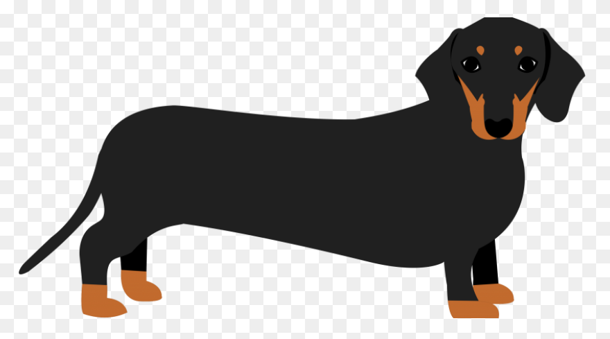 Dachshund Clipart. Free Download Tr