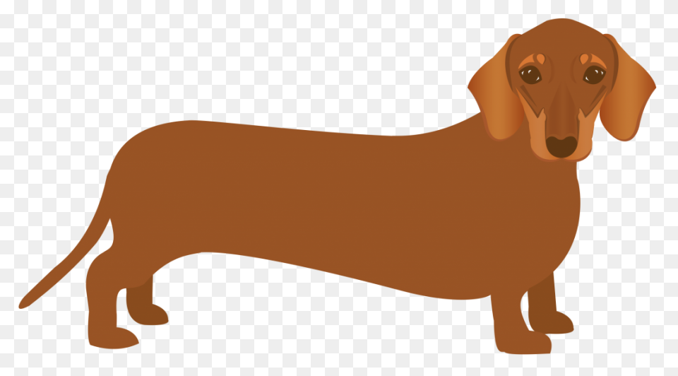 Dachshund Clipart. Free Download Tr