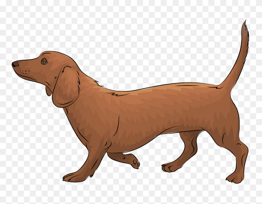 Dachshund Clipart. Free Download .png - Dachshund
