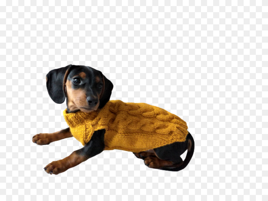 Knitted Sweater For Dogs Clothes - Dachshund