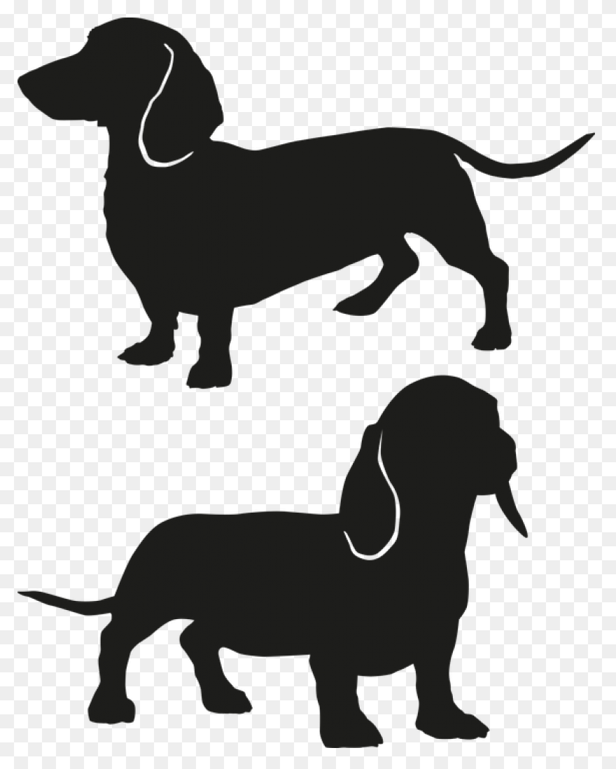 Sausage Dog Free Vector Graphic - Dachshund