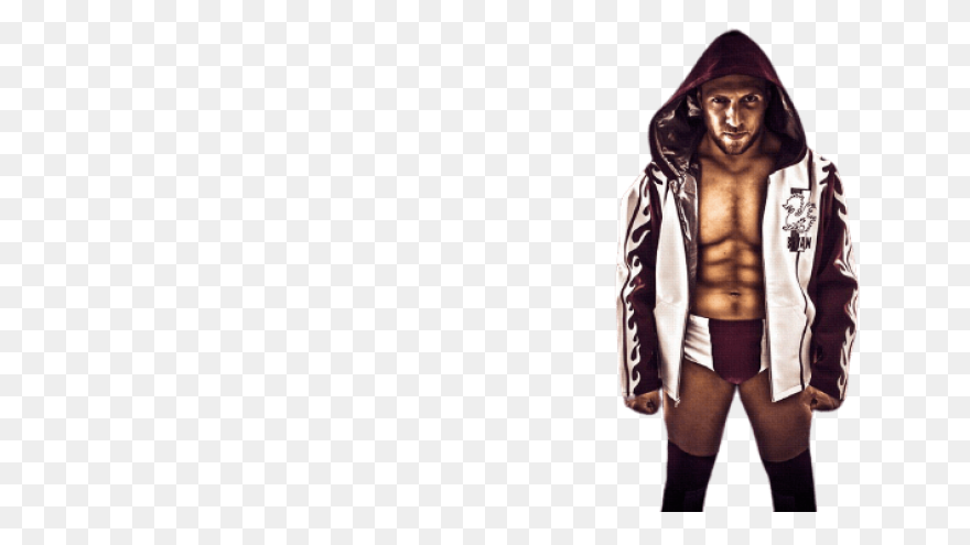 Daniel Bryan By Spwcol | Wwe Champi