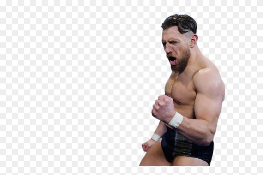 Daniel Bryan By Spwcol | Wwe Champi