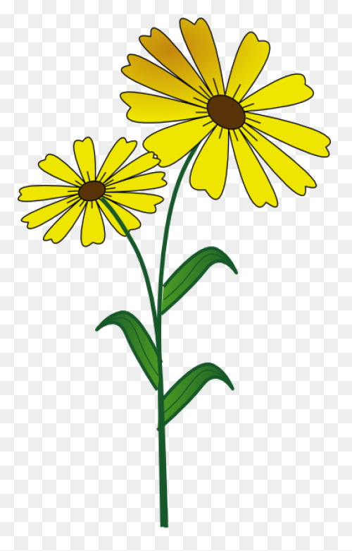 Daisy Clipart At .com Vector - Daisy
