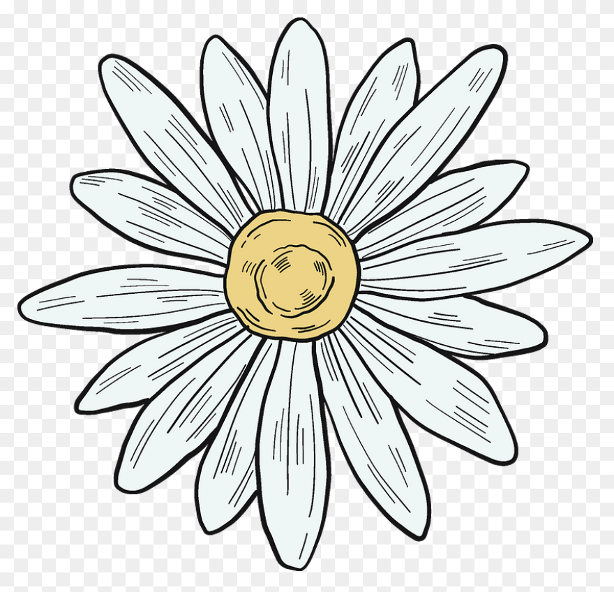 Yellow Daisy Clip Art At ClipartFla