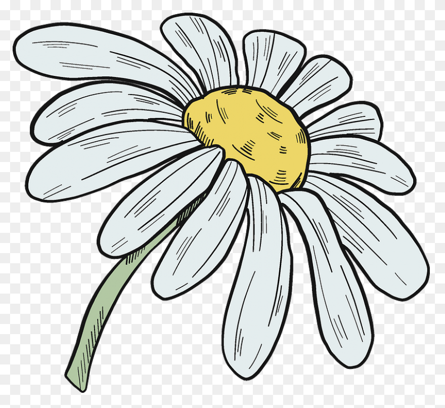 Yellow Daisy Clip Art At ClipartFla