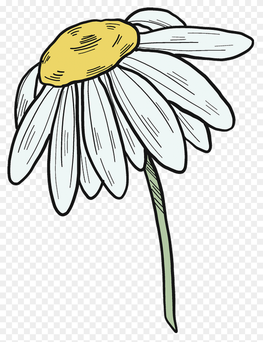 Yellow Daisy Clip Art At ClipartFla