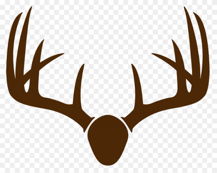 Red Deer Hunting White-Tailed Deer 