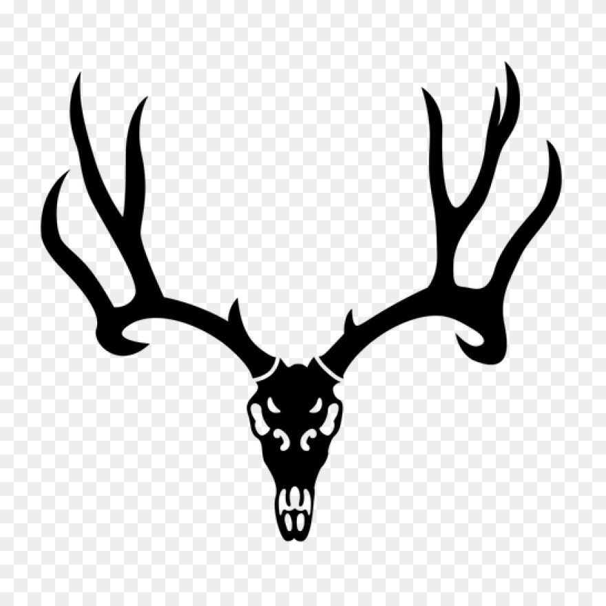 Red Deer Hunting White-Tailed Deer 