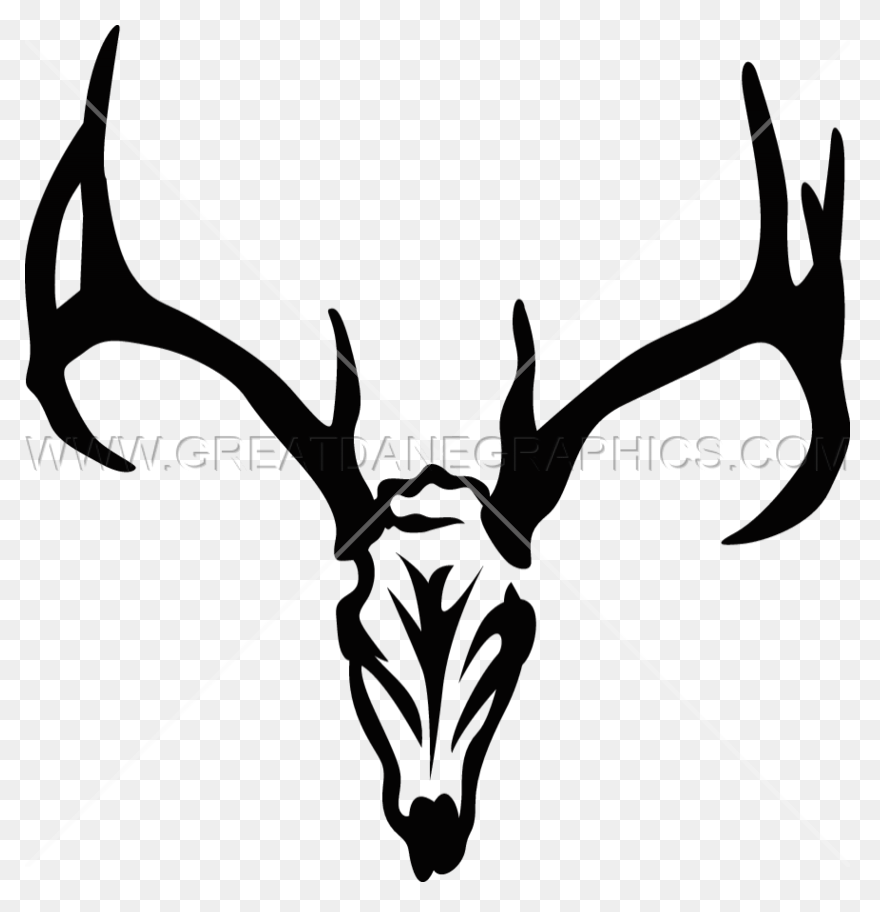 Red Deer Hunting White-Tailed Deer 