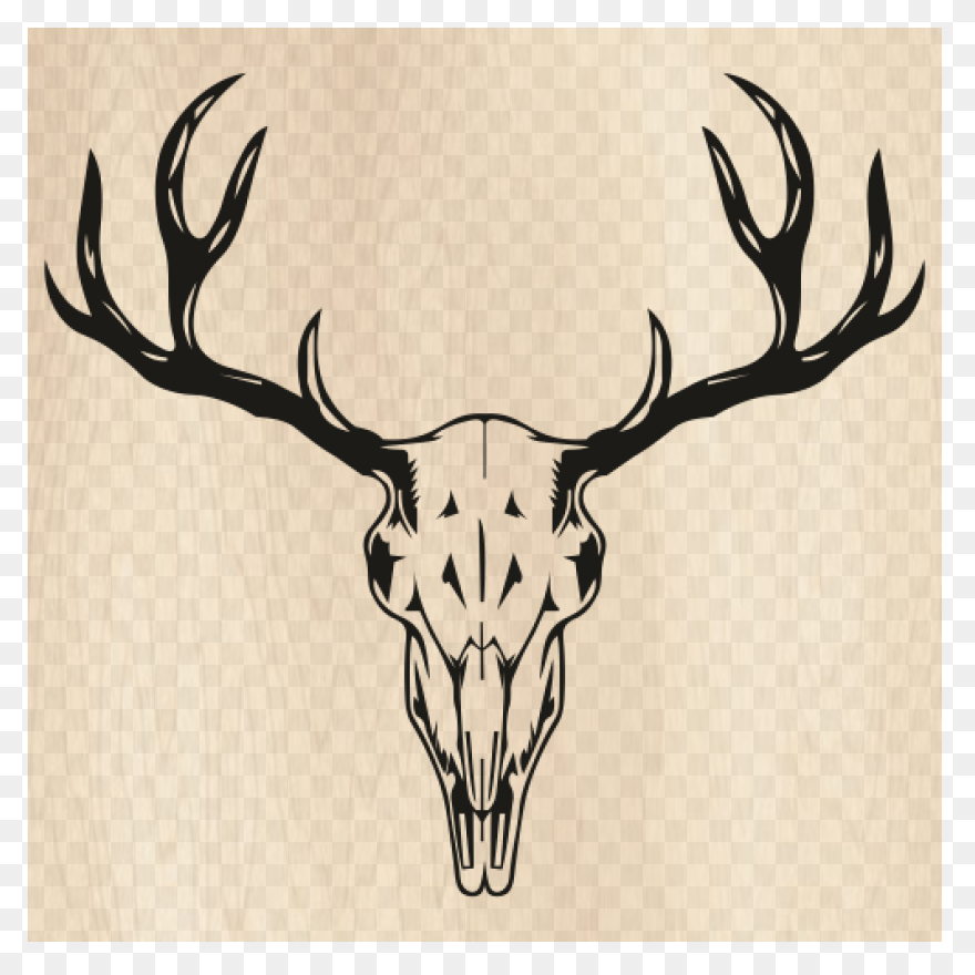 Red Deer Hunting White-Tailed Deer 