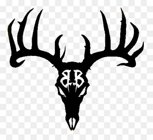 Red Deer Hunting White-Tailed Deer 