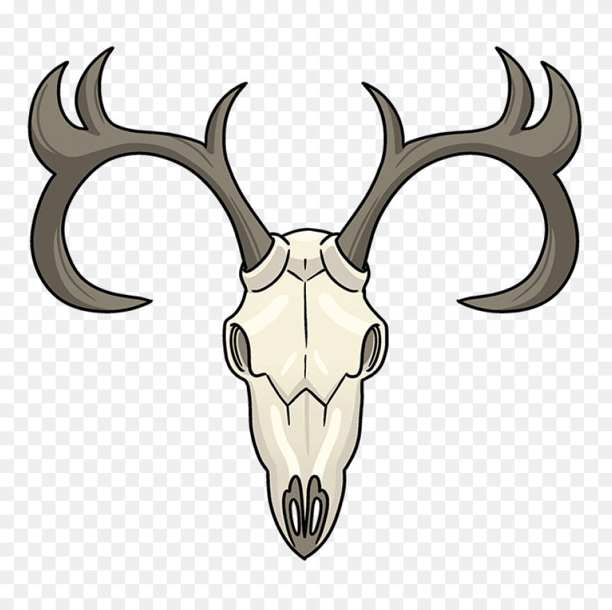 Red Deer Hunting White-Tailed Deer 