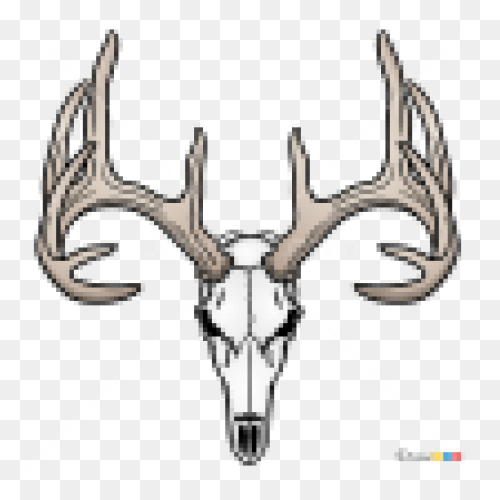 Red Deer Hunting White-Tailed Deer 