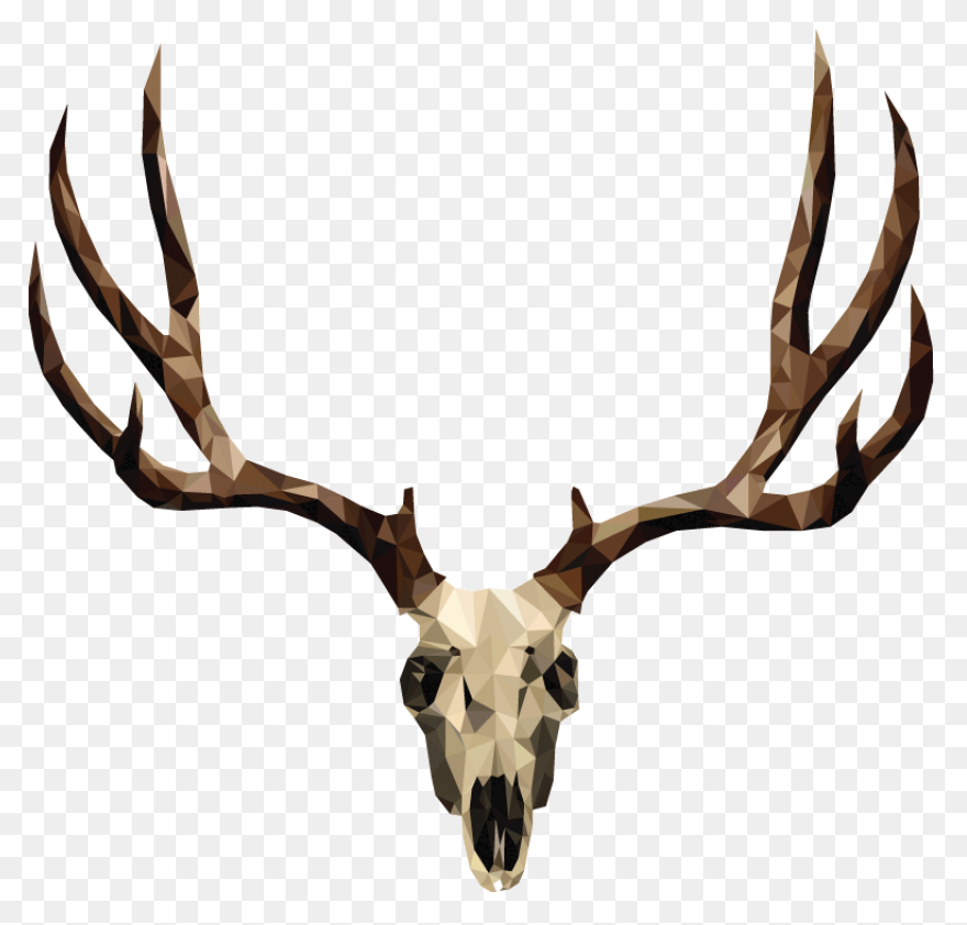 Red Deer Hunting White-Tailed Deer 