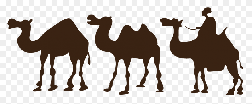 Camel Desert Clipart - ClipartFlare