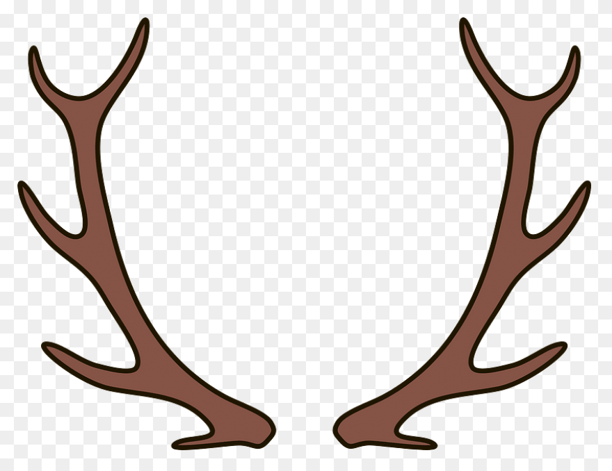 Mule Deer Antler Silhouette Transpa