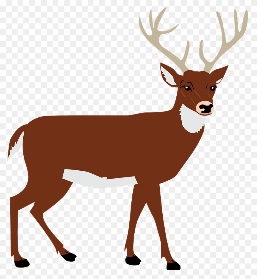 Deer Clipart Free Images Statuswall