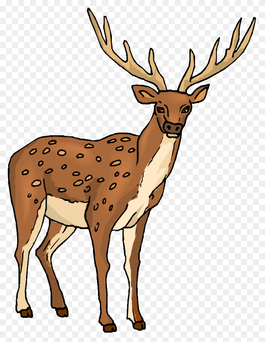 Deer Clipart Free Images Statuswall