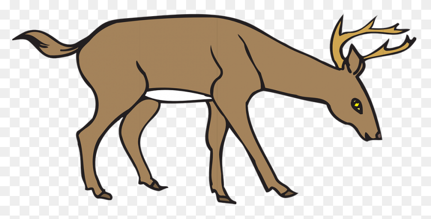 Deer Clipart Free Images Statuswallpaper - Deer