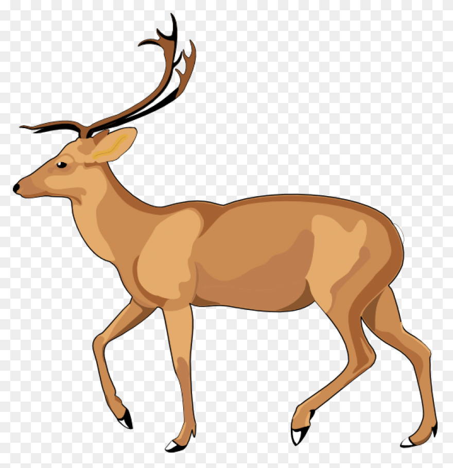 Deer Clipart Free Images Statuswall