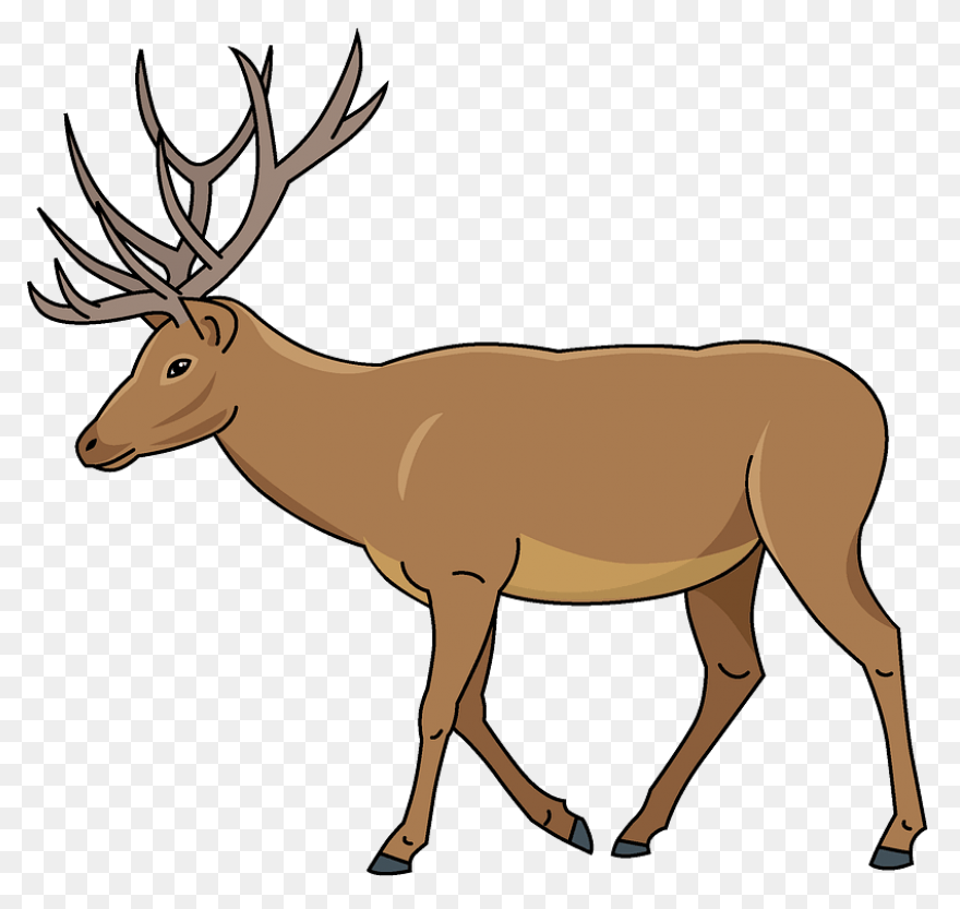 Deer Clipart Free Images Statuswall