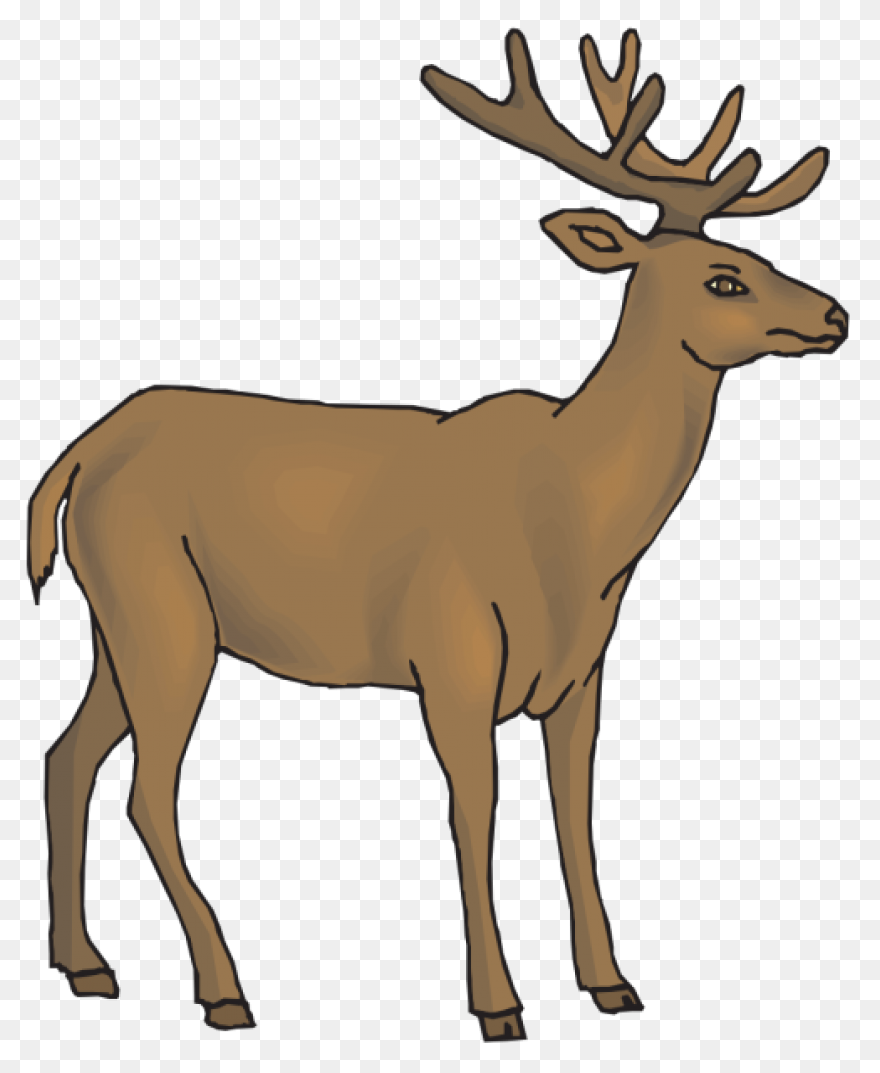 Deer Clipart Free Images Statuswall