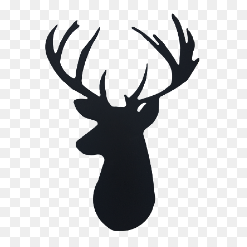 Animal, Caribou, Deer, Reindeer, Re