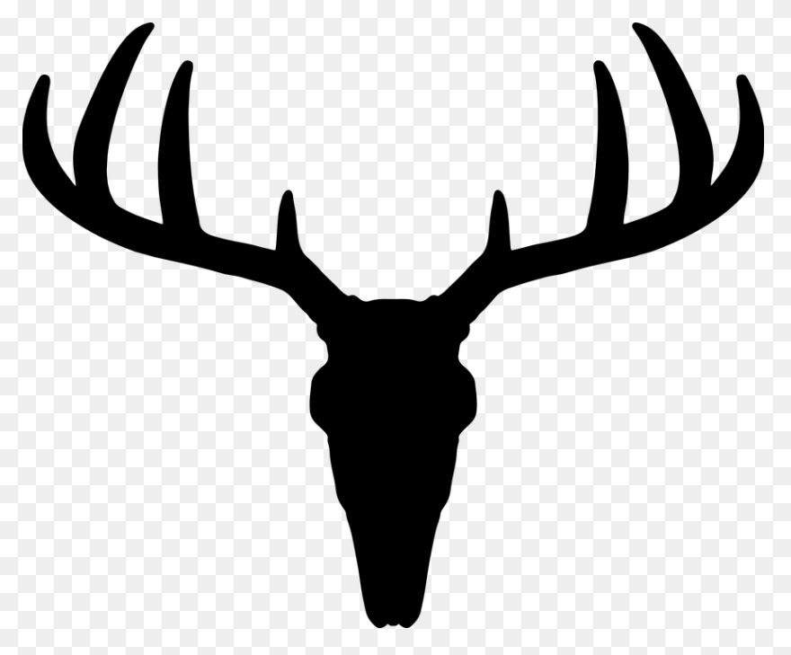 Animal, Caribou, Deer, Reindeer, Re
