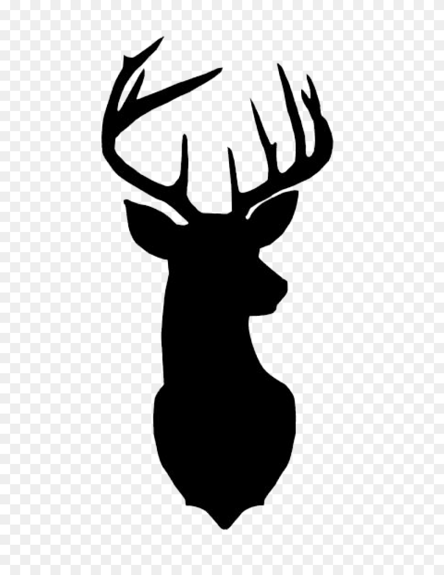 Animal, Caribou, Deer, Reindeer, Re