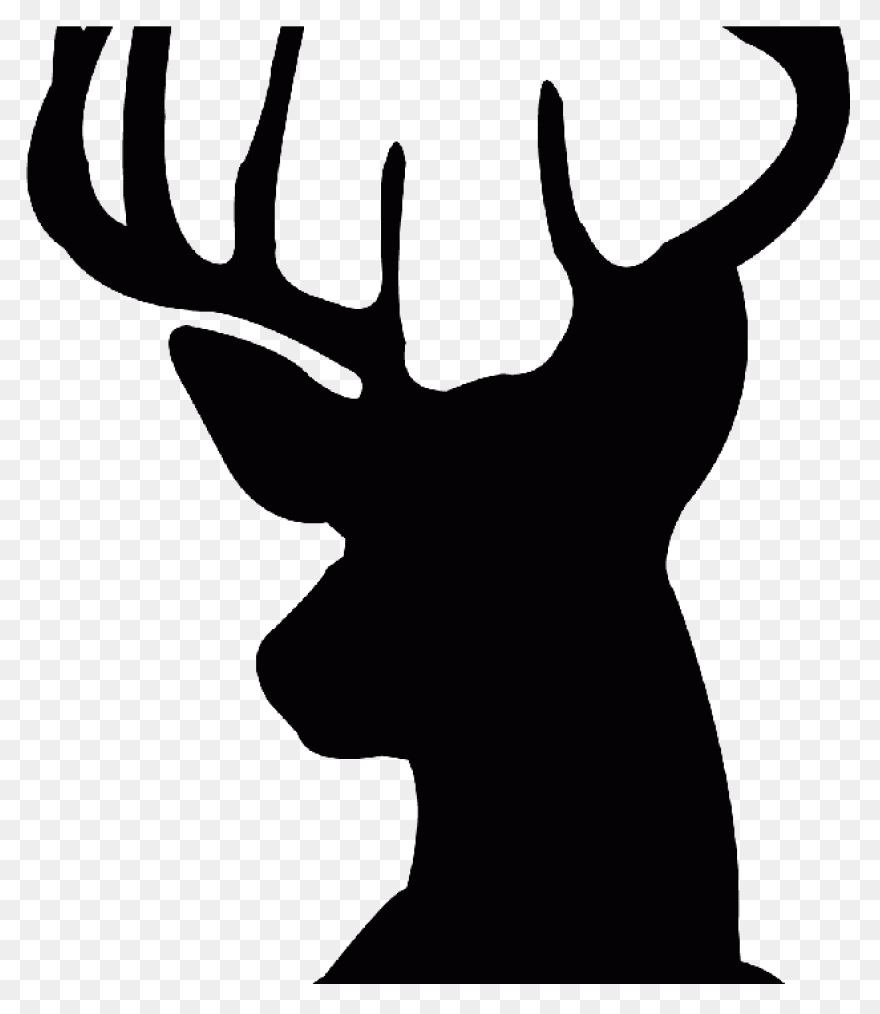 Animal, Caribou, Deer, Reindeer, Re