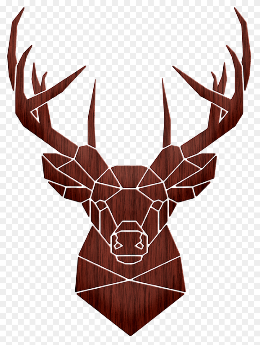 Animal, Caribou, Deer, Reindeer, Re