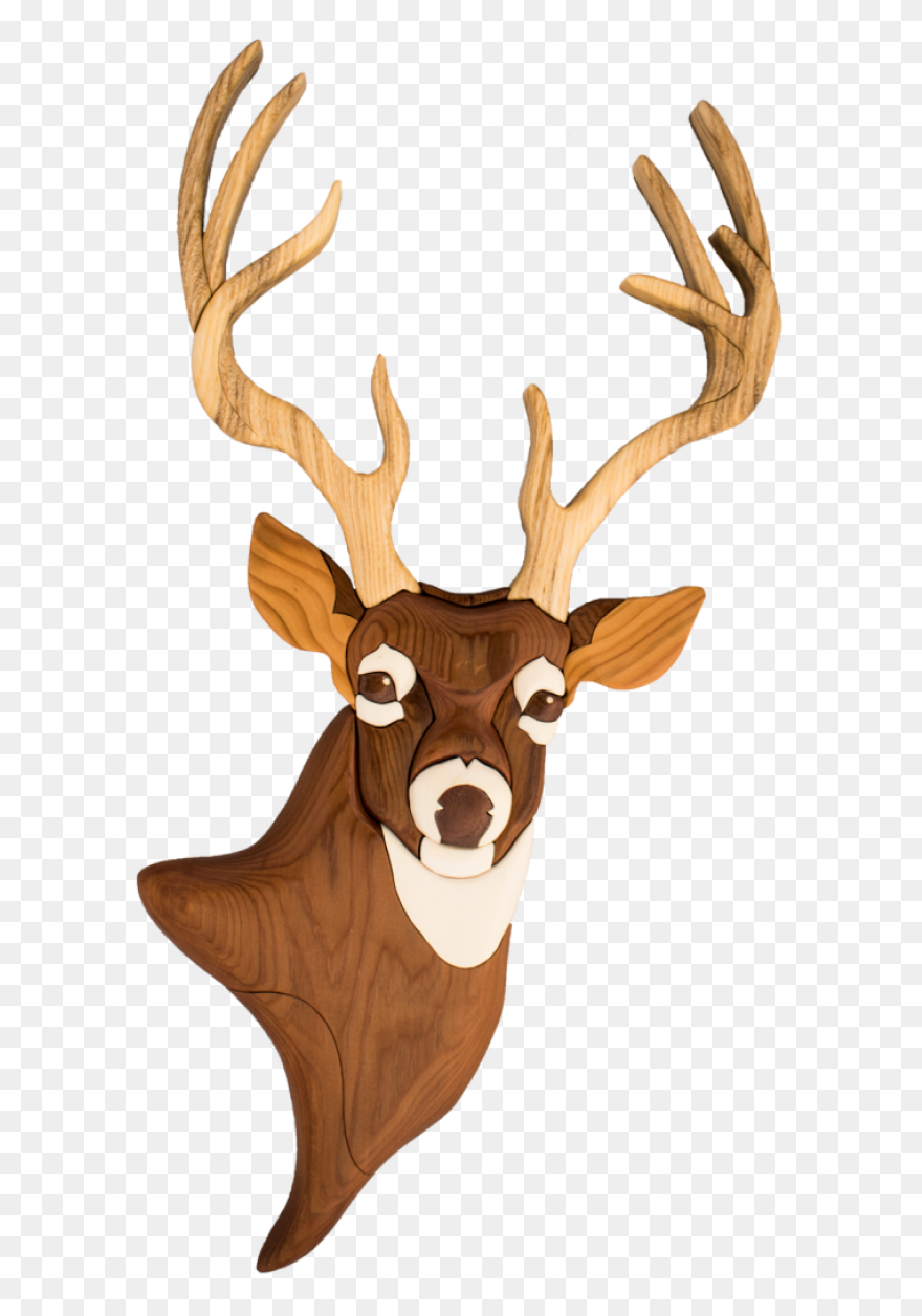 Animal, Caribou, Deer, Reindeer, Re