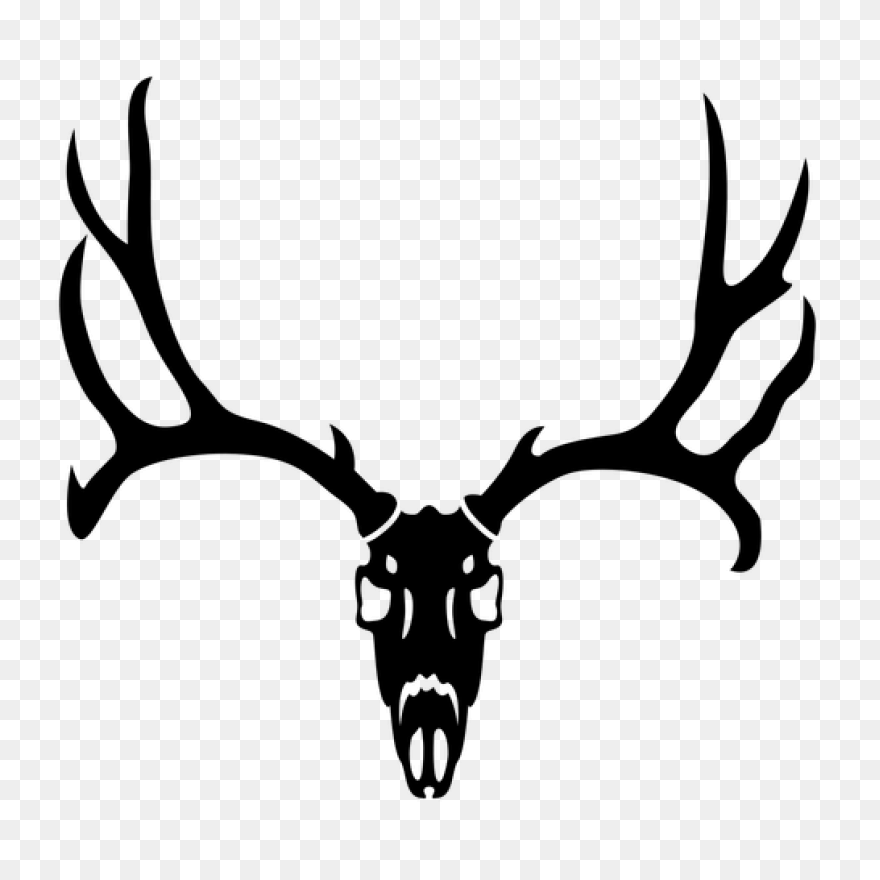 Animal, Caribou, Deer, Reindeer, Re