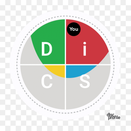 Disc: The History Of Disc Personali