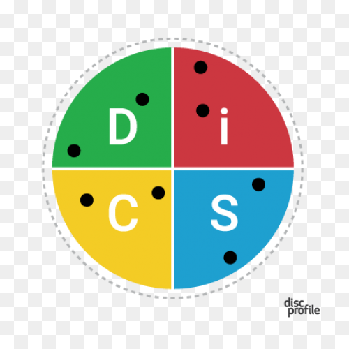 Disc: The History Of Disc Personali