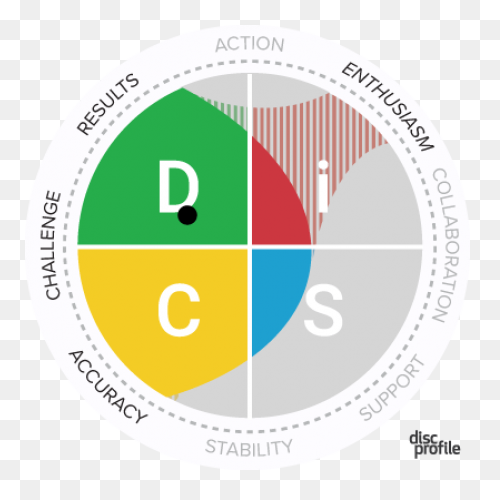 Disc: The History Of Disc Personali